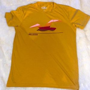 Hollister Mens Tee